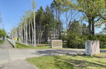 学校系_イメージ