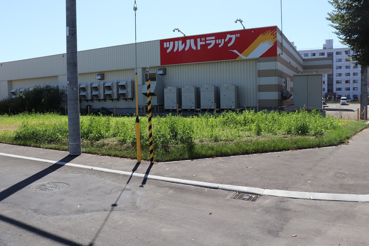 北側から撮影