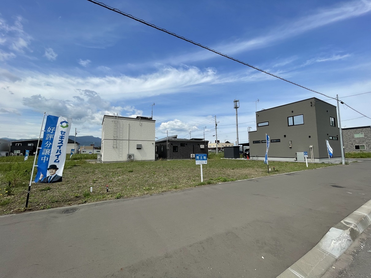 左側から撮影